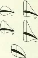 Picture 20 of 142 from From the ground up (1900), leaf 33