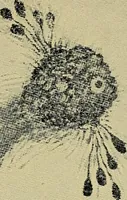 Picture 9 of 13 from From India to the planet Mars : a study of a case of somnambulism with glossolalia (1900), leaf 213