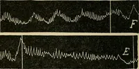 An illustration from From India to the planet Mars : a study of a case of somnambulism with glossolalia (1900)