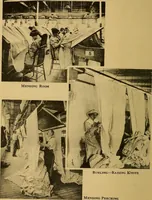 Picture 13 of 18 from From wool to cloth (1911), leaf 29