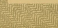 An illustration from From wool to cloth (1911)