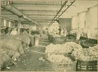 Picture 10 of 22 from From wool to cloth (1904), leaf 23
