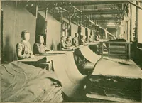 An illustration from From wool to cloth (1904)