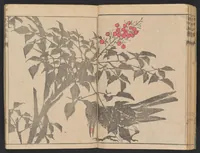 An illustration from Fukei gasō (1817)