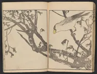 An illustration from Fukei gasō (1817)