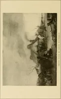 An illustration from The Hudson-Fulton celebration. Catalogue of an exhibition held in the Metropolitan Museum of Art; commemorative of the tercentenary of the discovery of the Hudson River by Henry Hudson in the year 1609, and the centenary of the first use of steam in the navigation of said river by Robert Fulton in the year 1807 (1909)