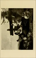An illustration from The Hudson-Fulton celebration. Catalogue of an exhibition held in the Metropolitan Museum of Art; commemorative of the tercentenary of the discovery of the Hudson River by Henry Hudson in the year 1609, and the centenary of the first use of steam in the navigation of said river by Robert Fulton in the year 1807 (1909)