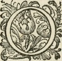 An illustration from Funerale della signora Sitti Maani Gioerida della Valle. Celebrato in Roma l'anno 1627 (1627)