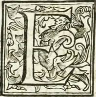 An illustration from Funeral hecho en Roma en la yglesia de Santiago delos españoles à 18 de diciembre de 1665 : a la gloriosa memoria del rei catolico delas Españas nuesro señor D. Felipe quarto el grande en nombre de la nacion española (1666)