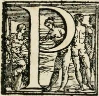 An illustration from Funerali nella morte dell'ill.mo et r.mo sig. card.le Horatio Spinola arciuescouo di Genoua (1616)