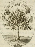 An illustration from Funerali nella morte dell'ill.mo et r.mo sig. card.le Horatio Spinola arciuescouo di Genoua (1616)