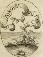 Picture 20 of 51 from Funerali nella morte dell'ill.mo et r.mo sig. card.le Horatio Spinola arciuescouo di Genoua (1616), leaf 58