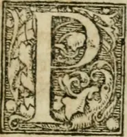 An illustration from Furni novi philosophici, sive, Descriptio artis destillatoriae novae : nec non spirituum, oleorum, florum, aliorumque medicamentorum illius beneficio, facilimâ quâdam & peculiari viâ è vegetabilibus, animalibus & mineralibus, conficiendorum & quidem magno cum lucro; agens quoque de illorum usu tàm chymico quàm medico (1651)