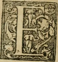 An illustration from Furni novi philosophici, sive, Descriptio artis destillatoriae novae : nec non spirituum, oleorum, florum, aliorumque medicamentorum illius beneficio, facilimâ quâdam & peculiari viâ è vegetabilibus, animalibus & mineralibus, conficiendorum & quidem magno cum lucro; agens quoque de illorum usu tàm chymico quàm medico (1651)