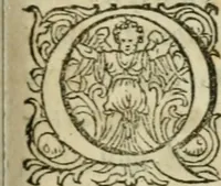An illustration from Furni novi philosophici, sive, Descriptio artis destillatoriae novae : nec non spirituum, oleorum, florum, aliorumque medicamentorum illius beneficio, facilimâ quâdam & peculiari viâ è vegetabilibus, animalibus & mineralibus, conficiendorum & quidem magno cum lucro; agens quoque de illorum usu tàm chymico quàm medico (1651)
