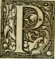 An illustration from Furni novi philosophici, sive, Descriptio artis destillatoriae novae : nec non spirituum, oleorum, florum, aliorumque medicamentorum illius beneficio, facilimâ quâdam & peculiari viâ è vegetabilibus, animalibus & mineralibus, conficiendorum & quidem magno cum lucro; agens quoque de illorum usu tàm chymico quàm medico (1651)