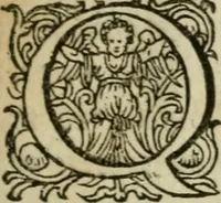 An illustration from Furni novi philosophici, sive, Descriptio artis destillatoriae novae : nec non spirituum, oleorum, florum, aliorumque medicamentorum illius beneficio, facilimâ quâdam & peculiari viâ è vegetabilibus, animalibus & mineralibus, conficiendorum & quidem magno cum lucro; agens quoque de illorum usu tàm chymico quàm medico (1651)