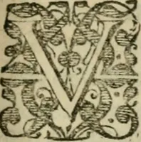 An illustration from Furni novi philosophici, sive, Descriptio artis destillatoriae novae : nec non spirituum, oleorum, florum, aliorumque medicamentorum illius beneficio, facilimâ quâdam & peculiari viâ è vegetabilibus, animalibus & mineralibus, conficiendorum & quidem magno cum lucro; agens quoque de illorum usu tàm chymico quàm medico (1651)