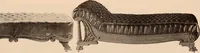 An illustration from Furniture catalogue season 1907-1908 / Baltimore Bargain House. (1907)