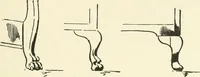 An illustration from Furniture for the craftsman; a manual for the student and machanic (1914)