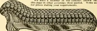 An illustration from Furniture including everything for the home, office and hotel. (1908)