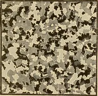 An illustration from Furniture including everything for the home, office and hotel. (1908)