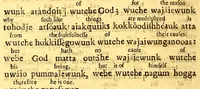 An illustration from A further accompt of the progresse of the gospel amongst the Indians in New-England, and of the means used effectually to advance the same. : Set forth in certaine letters sent from thence declaring a purpose of printing the Scriptures in the Indian tongue into which they are already translated. With which letters are likewise sent an epitome of some exhortations delivered by the Indians at a fast, as testimonies of their obedience to the gospell. As also Some helps directing the Indians how to improve naturall reason unto the knowledge of the true God (1659)