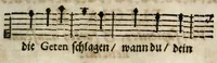 Picture 4 of 7 from Futer über die Mirantische Maul-Trummel Oder Begriff In welchem der jetzigen Welt thorechtes/ von ihr aber gar schön vermeintes Beginnen in Lateinisch und Teutsche Elegien/ samt schönen Sinnbildern/ und neuen Melodeyen ... an den Tag gegeben wird (1699), leaf 213