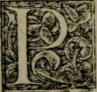 An illustration from Fvndamentvm firvm, cvi tvto fidelis qvivis inniti potest, hoc praesertim difficili seculo, quo dissidijs doctorumq́; auduersarijs scriptis omnia conturbata sunt, positum ad institutionem & consolationem simplicium, per Heinrychum Bullingerum Tigurinae ecclesiae ministrum. In hoc libro respondetur etiam breuiter & simpliciter libro D. Ioannis Brentii, nuper contra D. Petrum Martyrem & Heinrychum Bullingerum, De Maiestate Domini nostri Iesu Christi ad dexterm Dei Patris, edito.. (1563)