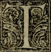 An illustration from Fvndamentvm firvm, cvi tvto fidelis qvivis inniti potest, hoc praesertim difficili seculo, quo dissidijs doctorumq́; auduersarijs scriptis omnia conturbata sunt, positum ad institutionem & consolationem simplicium, per Heinrychum Bullingerum Tigurinae ecclesiae ministrum. In hoc libro respondetur etiam breuiter & simpliciter libro D. Ioannis Brentii, nuper contra D. Petrum Martyrem & Heinrychum Bullingerum, De Maiestate Domini nostri Iesu Christi ad dexterm Dei Patris, edito.. (1563)