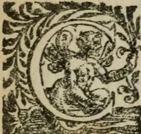 An illustration from Fvrio Camillo (1623)
