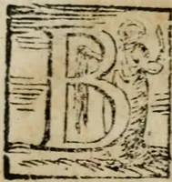 An illustration from Fvrio Camillo (1623)