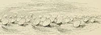 Picture 52 of 124 from George Cruikshank's Table-book (1869), leaf 109