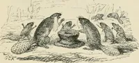 Picture 114 of 124 from George Cruikshank's Table-book (1869), leaf 282