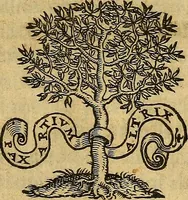 Picture 2 of 10 from Gabrielis Falloppii De medicatis aquis atque de fossilibus tractatus pulcherrimus, ac maxime utilis (1569), leaf 4