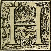 Picture 8 of 10 from Gabrielis Falloppii De medicatis aquis atque de fossilibus tractatus pulcherrimus, ac maxime utilis (1569), leaf 68