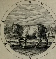 An illustration from Gabrielis Rollenhagii Selectorum emblematum centuria secunda (1613)