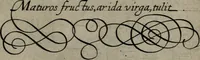 An illustration from Gabrielis Rollenhagii Selectorum emblematum centuria secunda (1613)