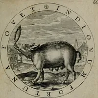 Picture 91 of 125 from Gabrielis Rollenhagii Selectorum emblematum centuria secunda (1613), leaf 152