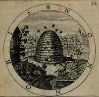 An illustration from Gabrielis Rollenhagii Selectorum emblematum centuria secunda (1613)