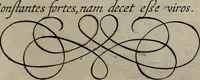 An illustration from Gabrielis Rollenhagii Selectorum emblematum centuria secunda (1613)