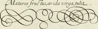 An illustration from Gabrielis Rollenhagii Selectorum emblematum centuria secunda (1613)