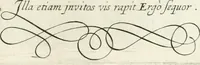 An illustration from Gabrielis Rollenhagii Selectorum emblematum centuria secunda (1613)