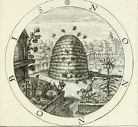 An illustration from Gabrielis Rollenhagii Selectorum emblematum centuria secunda (1613)
