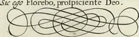 An illustration from Gabrielis Rollenhagii Selectorum emblematum centuria secunda (1613)