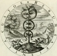 An illustration from Gabrielis Rollenhagii Selectorum emblematum centuria secunda (1613)