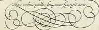 An illustration from Gabrielis Rollenhagii Selectorum emblematum centuria secunda (1613)