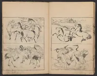 An illustration from Gakō senran (1740)