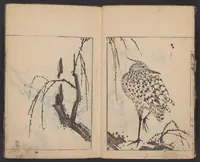 An illustration from Gakō senran (1740)