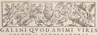Picture 47 of 51 from Galeni omnia quae extant opera : in latinum sermonem conuersa (1565), leaf 1219